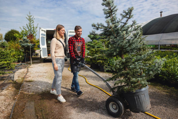 Best Tree Mulching  in Jefferson, IA